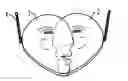 Fig. 01 - Jewelry Device