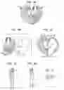 Fig. 07 - Jewelry Device