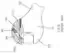 Fig. 07 - One-way open-ended wrench