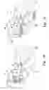 Fig. 07 - Steam peeling system