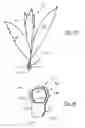 Fig. 13 - Method and apparatus for playing with pet