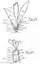 Fig. 14 - Method and apparatus for playing with pet