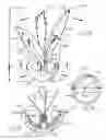 Fig. 19 - Method and apparatus for playing with pet