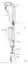 Fig. 02 - Novel animal lead