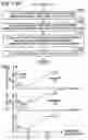 Fig. 09 - Event based engine control system and method