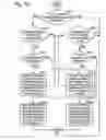 Fig. 22 - Engine system for multi-fluid operation