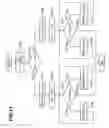 Fig. 09 - Exhaust gas recirculation device for internal combustion engine