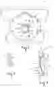 Fig. 02 - Method Of Making A Filtering Face Mask Having New Exhalation Valve