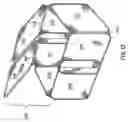 Fig. 24 - Collapsible structures having overlapping support loops