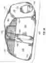 Fig. 25 - Collapsible structures having overlapping support loops