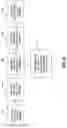 Fig. 06 - Pressure balance valve