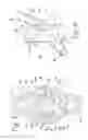Fig. 06 - Fluid Flow Diversion Valve and Blood Collection System Employing Same