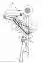 Fig. 03 - Tine raking device