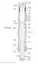 Fig. 33 - Apparatus and methods for drilling a wellbore using casing