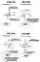 Fig. 17 - Harness routing structure for vehicle
