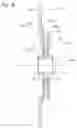 Fig. 10 - Multiplate clutch device and clutch disk assembly