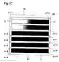 Fig. 04 - Electrophoretic separation of amphoteric molecules