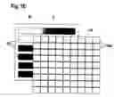 Fig. 06 - Electrophoretic separation of amphoteric molecules