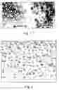 Fig. 02 - Filmy object of conductive polymer