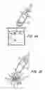 Fig. 02 - Anemone Killing Mixture And Method For Aquariums