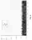 Fig. 10 - APPARATUS AND METHOD FOR DETECTING AN ENDPOINT IN A VAPOR PHASE ETCH