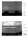Fig. 01 - Process for producing a composite body
