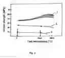 Fig. 04 - Process for producing a composite body