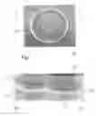 Fig. 05 - Method of processing seals like leaf seals