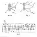 Fig. 08 - Method, diaphragms and optical receiving devices for improving the depth of field in a linear optical code reader
