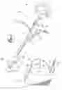 Fig. 03 - Device for spraying a fluid and a brush cutter provided with said device