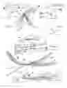 Fig. 02 - Multiple feather kite