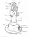 Fig. 01 - Fixture for a communication device