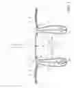 Fig. 04 - Article holder for a ladder