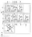Fig. 05 - Laser-scanning microscope system