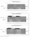Fig. 22 - Thin-Film Transistors Based on Tunneling Structures and Applications