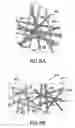 Fig. 10 - Large-area nanoenabled macroelectronic substrates and uses therefor