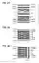 Fig. 03 - Circuit substrate and manufacturing method thereof