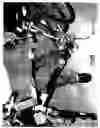Fig. 33 - Detachable bicycle frame connectors