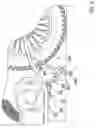 Fig. 09 - Motorcycle support stand system