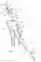 Fig. 04 - Unit for coupling and releasing the wrist strap to/from the handgrip of a pole for sporting activities like skiing, trekking and the like