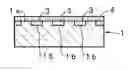 Fig. 01 - Surface acoustic wave device