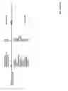 Fig. 29 - Look-up table action