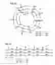 Fig. 06 - Multi-layer resonator for magnetic resonance applications with circuitry allowing equal magnitude current during active operation