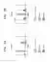 Fig. 04 - SSB response method of RFID tag