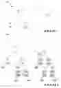 Fig. 07 - Image coding with scalable context quantization