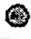 Fig. 804 - Dynamic blocks