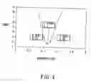 Fig. 04 - Portable electronic device with a slot antenna