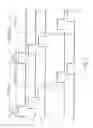 Fig. 04 - Liquid crystal display device and driving method of the same