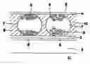 Fig. 01 - Electronphoretic display unit and associated driving method