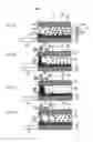 Fig. 04 - Display medium, display device and display method